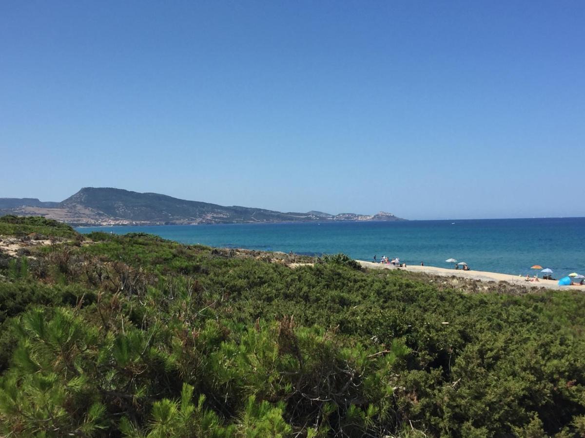 Carrabean Sea In The North Of Sardegna, With Swimming Pool Villa Viddalba Exterior foto