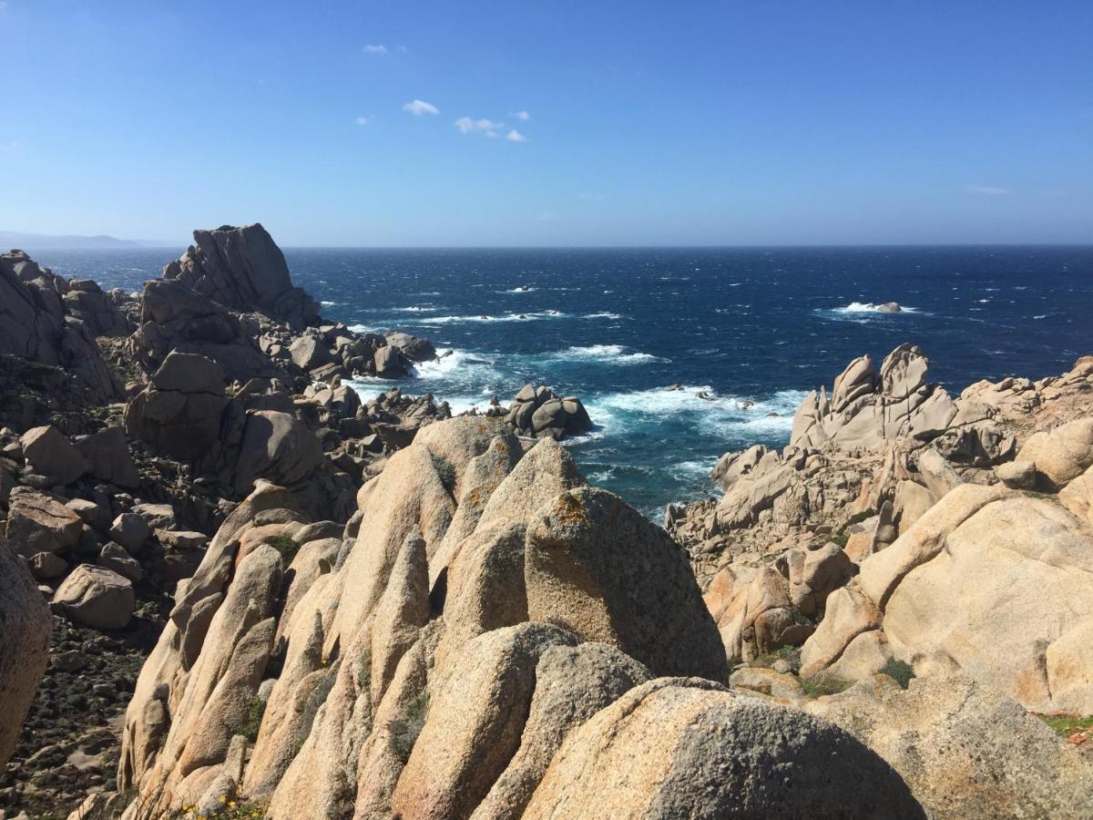 Carrabean Sea In The North Of Sardegna, With Swimming Pool Villa Viddalba Exterior foto