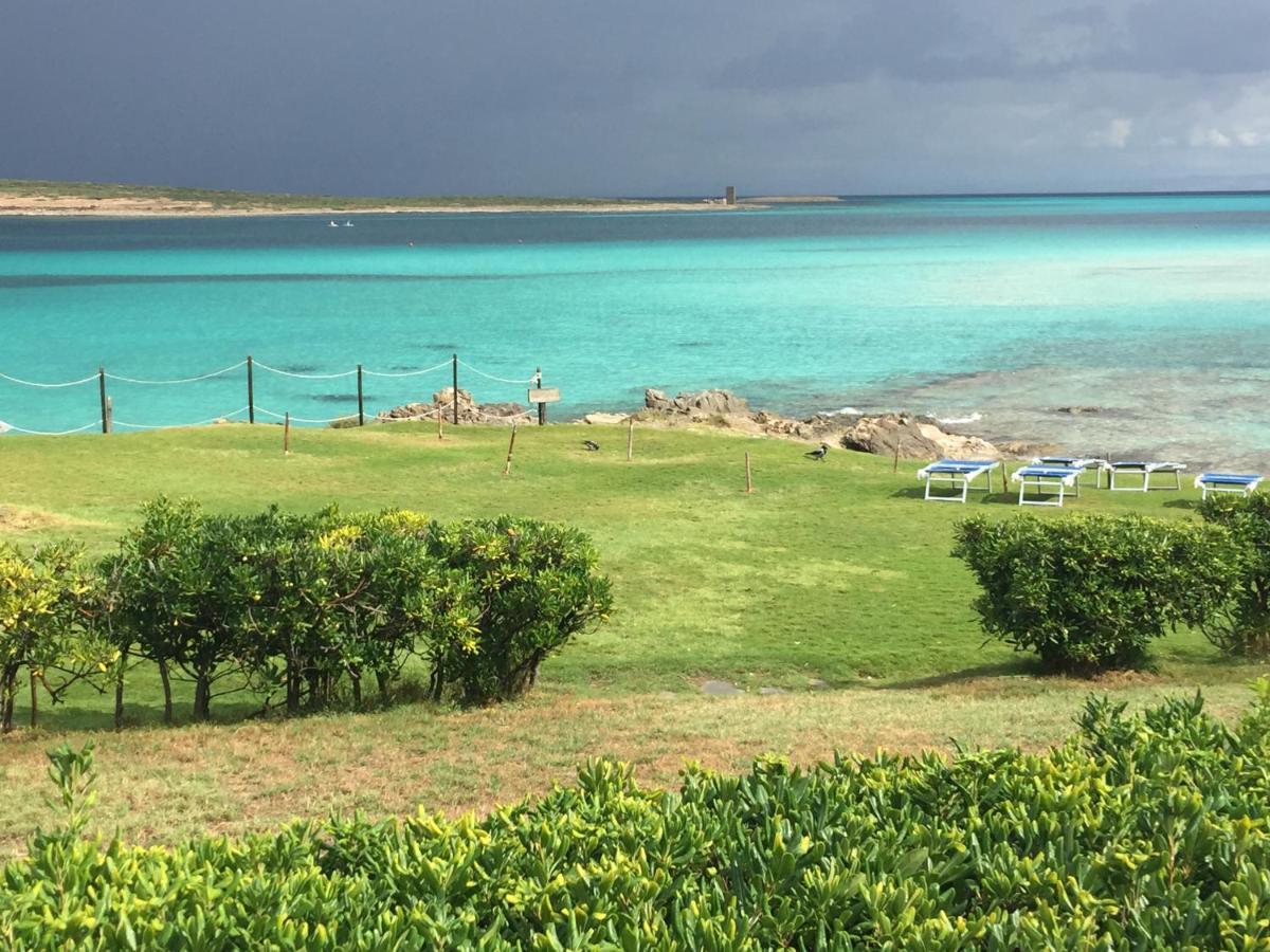 Carrabean Sea In The North Of Sardegna, With Swimming Pool Villa Viddalba Exterior foto