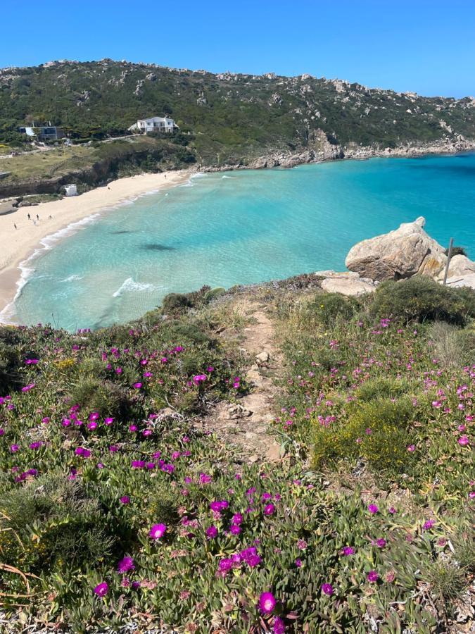 Carrabean Sea In The North Of Sardegna, With Swimming Pool Villa Viddalba Exterior foto