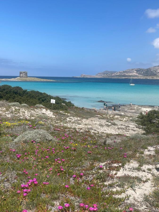 Carrabean Sea In The North Of Sardegna, With Swimming Pool Villa Viddalba Exterior foto